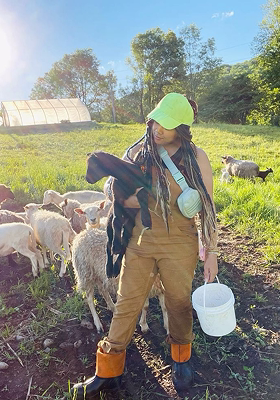 Image de la galerie 1