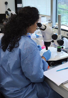 Image de la galerie 6